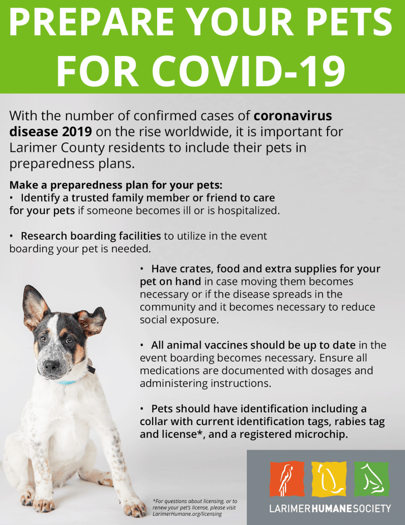 Prepare Your Pets for COVID-19 – Larimer Humane Society